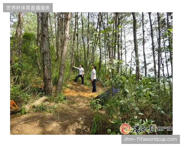 场馆安保投入频频触礁，指挥平台是否真的能清退依赖人工调度的低效模式